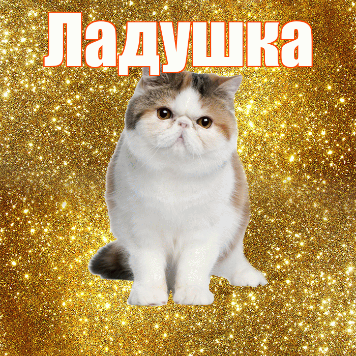 Ладушка! С добрым утром! Красивая открытка !