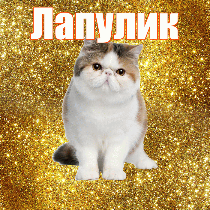 Лапулик! С добрым утром! Красивая открытка Лапулику!
