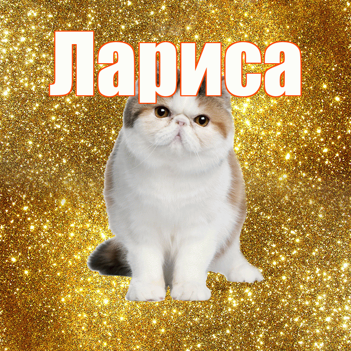 Лариса! С добрым утром! Красивая открытка Ларисе!
