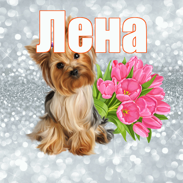 Лена! С добрым утром! Красивая открытка Лену!