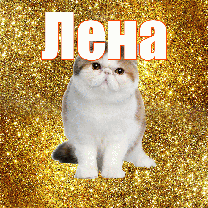 Лена! С добрым утром! Красивая открытка Лену!