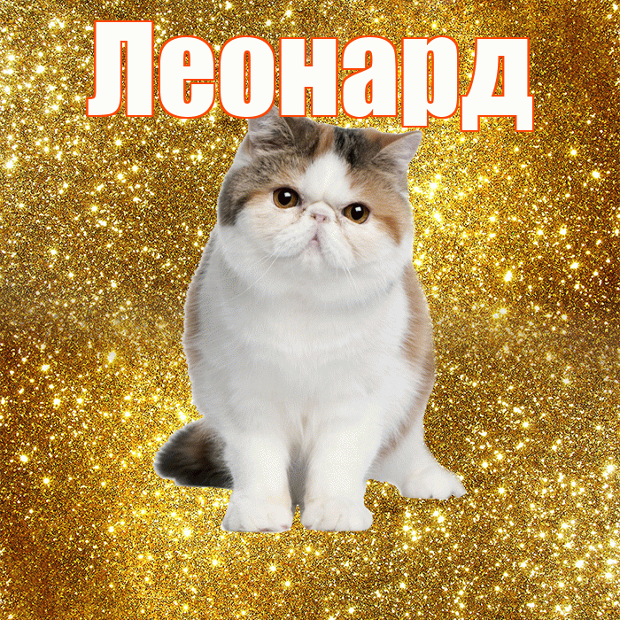 Леонард! С добрым утром! Красивая открытка Леонарду!