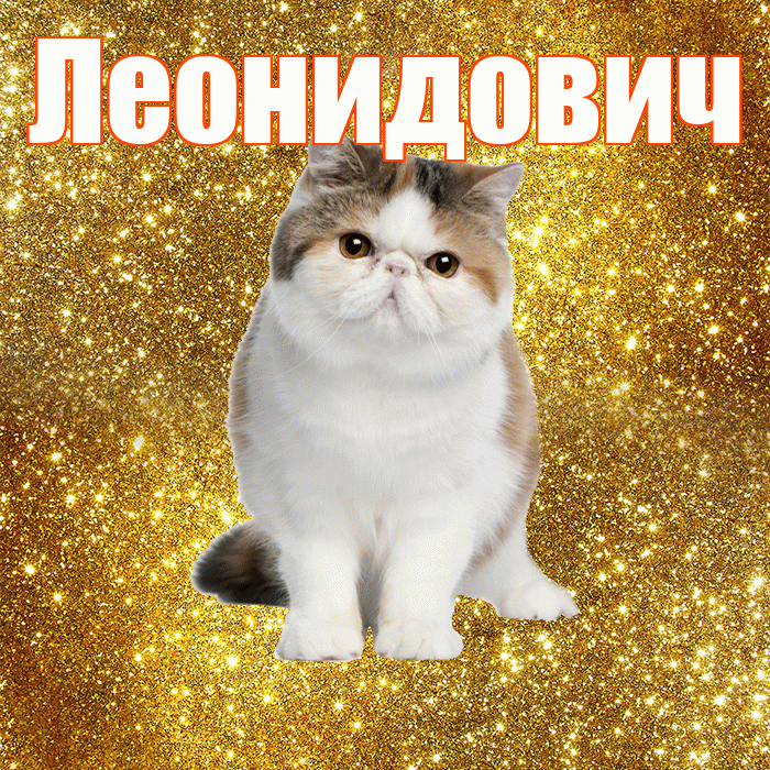 Леонидович! С добрым утром! Красивая открытка Леонидовичу!