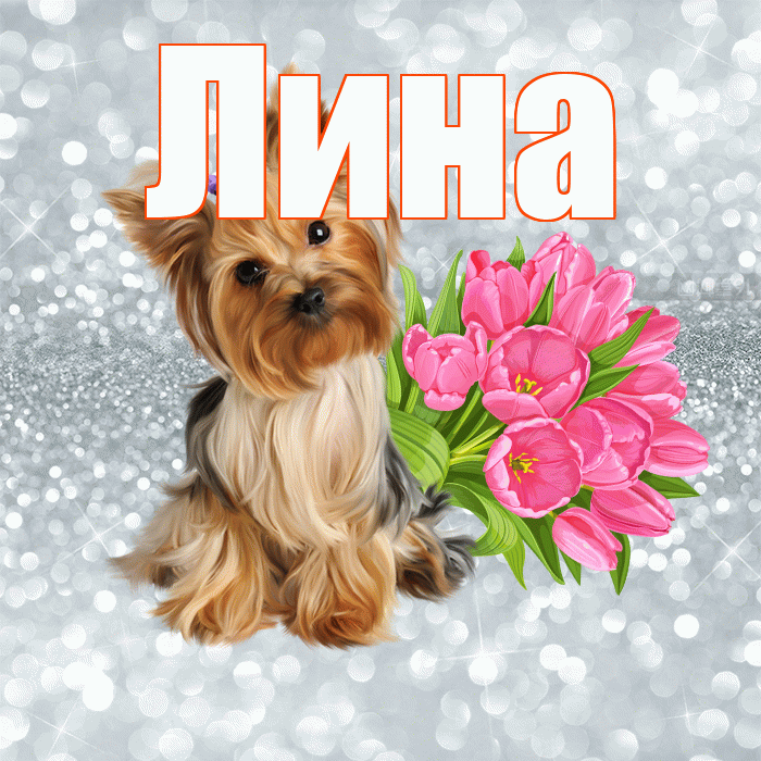 Лина! С добрым утром! Красивая открытка Лине!