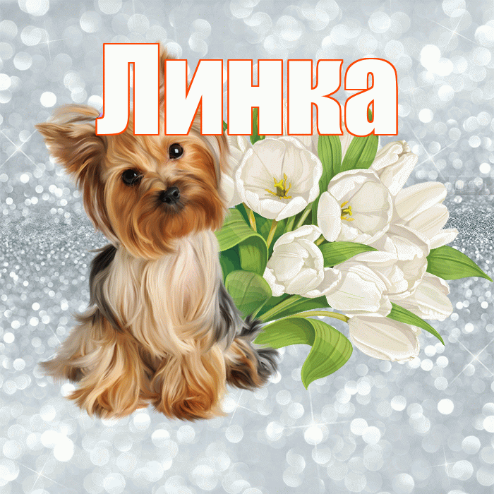 Линка! С добрым утром! Красивая открытка !
