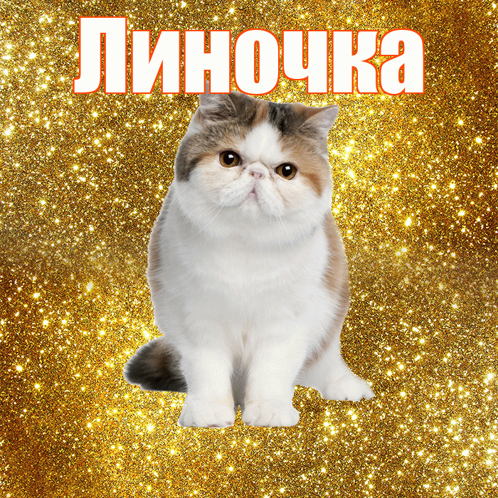 Линочка! С добрым утром! Красивая открытка !
