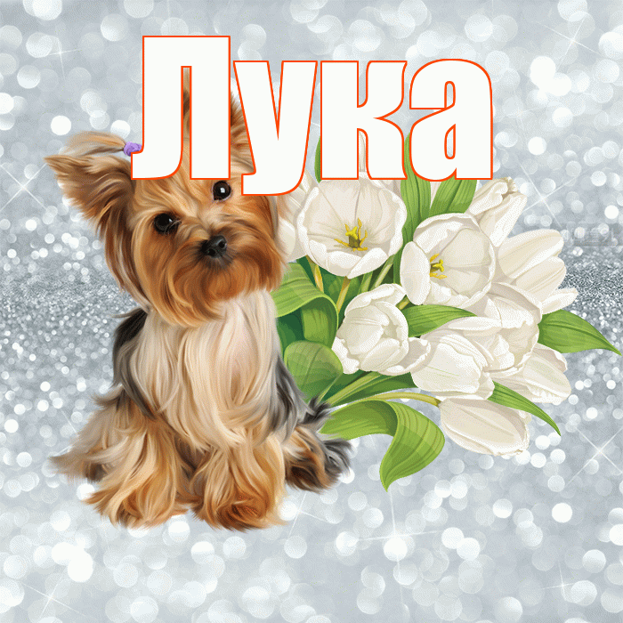 Лука! С добрым утром! Красивая открытка Луку!