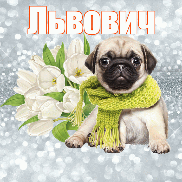 Львович! С добрым утром! Красивая открытка Львовичу!