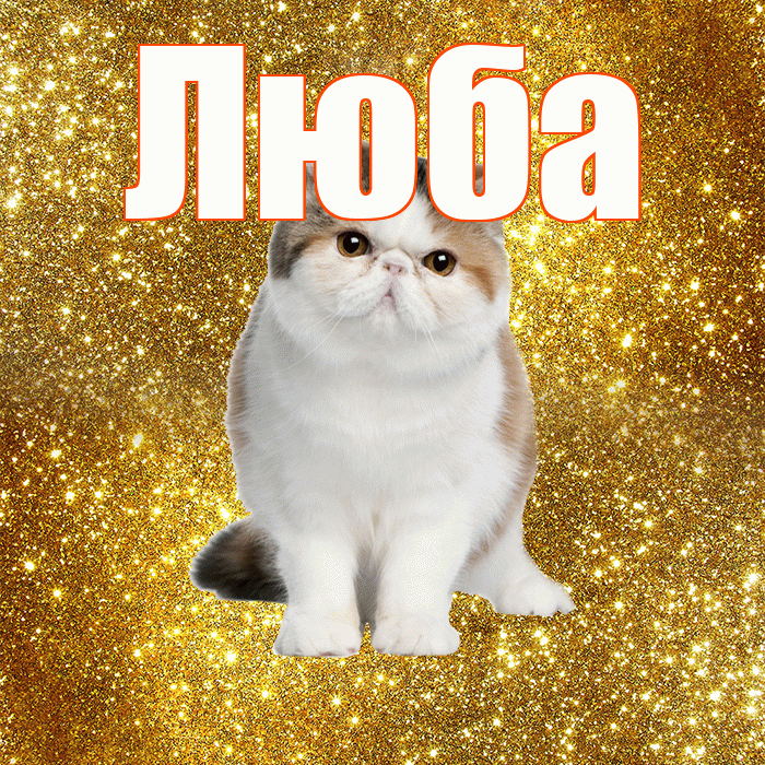 Люба! С добрым утром! Красивая открытка Любе!
