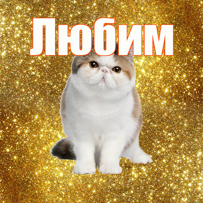 Любим! С добрым утром! Красивая открытка Любимому!