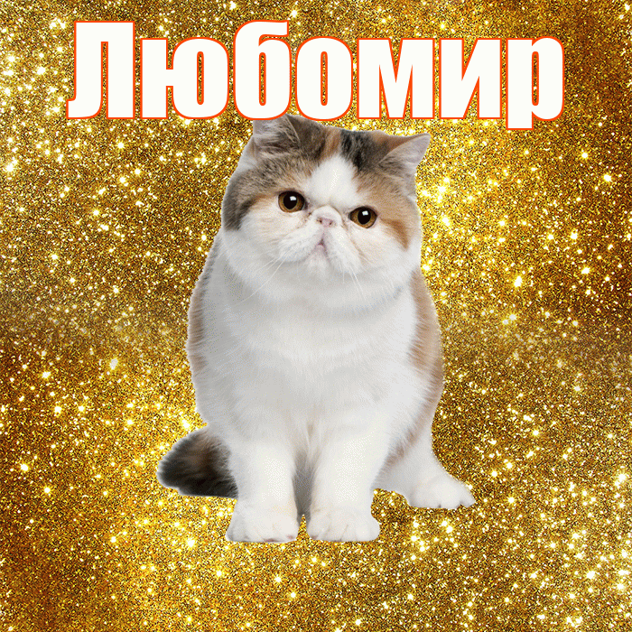 Любомир! С добрым утром! Красивая открытка Любомиру!
