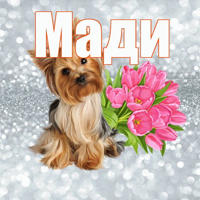 Мади! С добрым утром! Красивая открытка Мади!