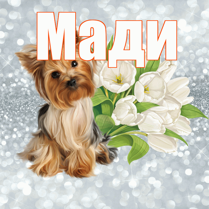 Мади! С добрым утром! Красивая открытка Мади!