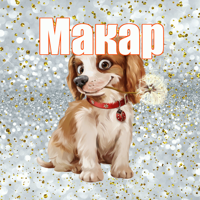 Макар! С добрым утром! Красивая открытка Макару!