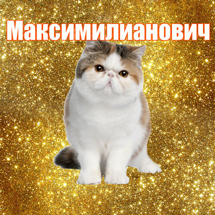 Максимилианович! С добрым утром! Красивая открытка Максимилиановичу!