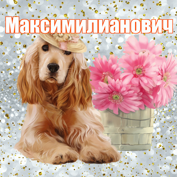 Максимилианович! С добрым утром! Красивая открытка Максимилиановичу!