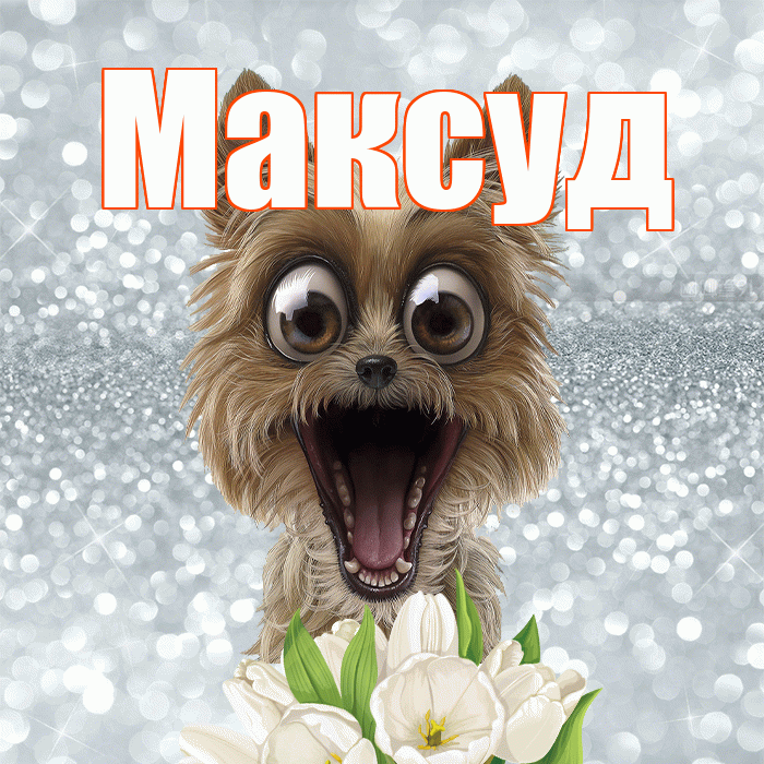 Максуд! С добрым утром! Красивая открытка Максуду!