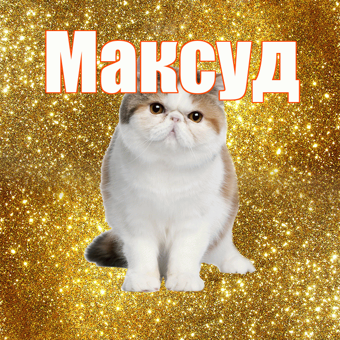 Максуд! С добрым утром! Красивая открытка Максуду!