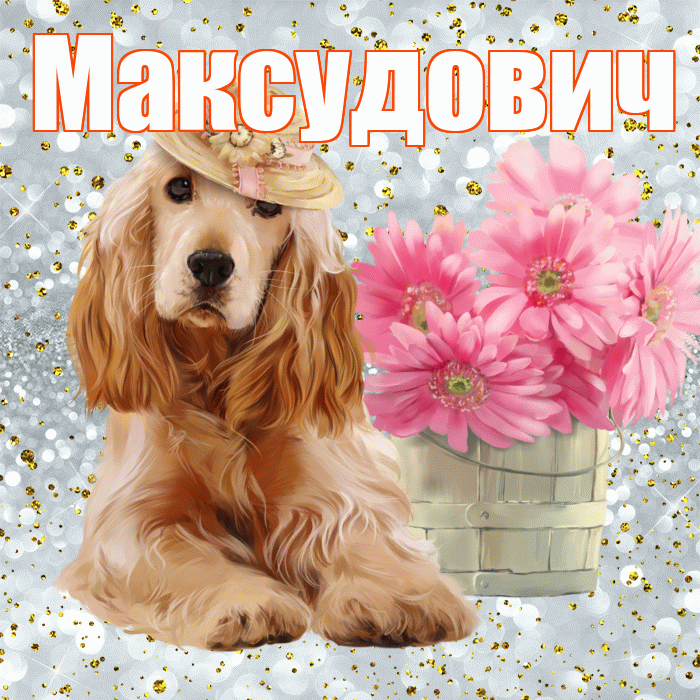 Максудович! С добрым утром! Красивая открытка Максудовичу!