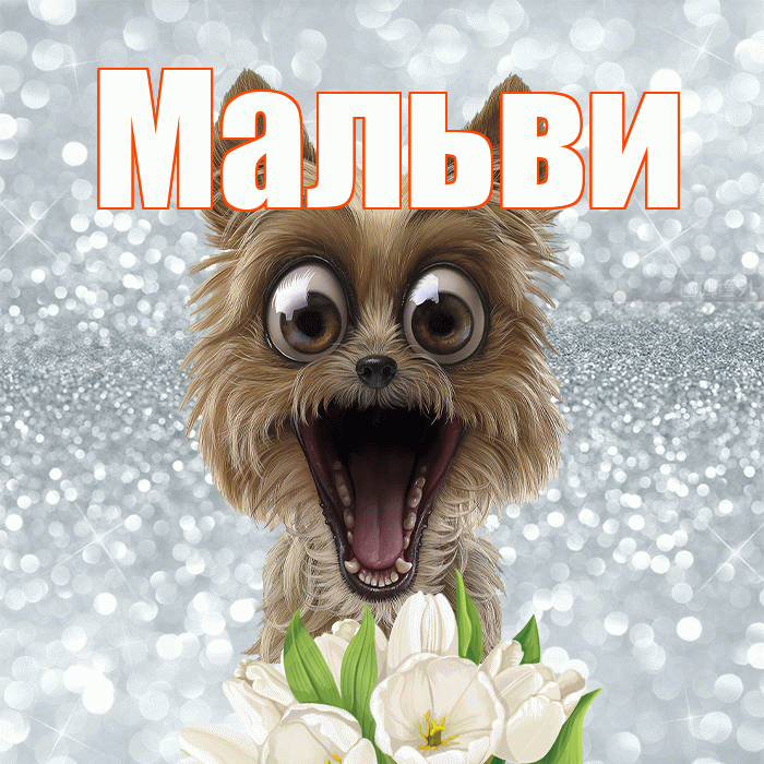 Мальви! С добрым утром! Красивая открытка !