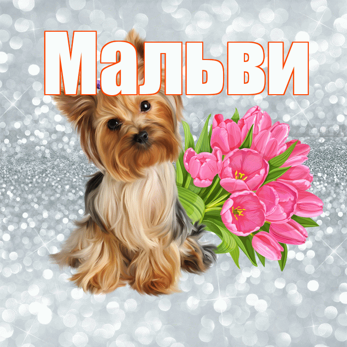 Мальви! С добрым утром! Красивая открытка !