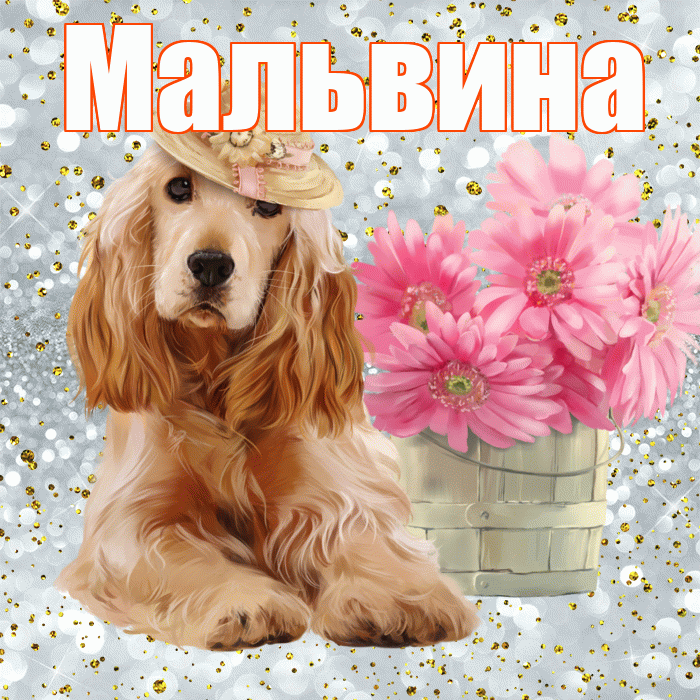 Мальвина! С добрым утром! Красивая открытка Мальвине!