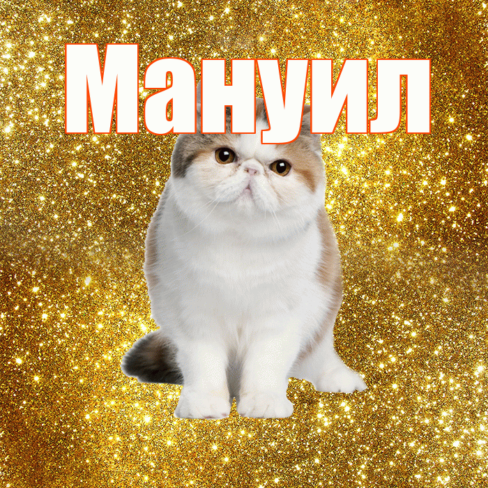 Мануил! С добрым утром! Красивая открытка Мануилу!