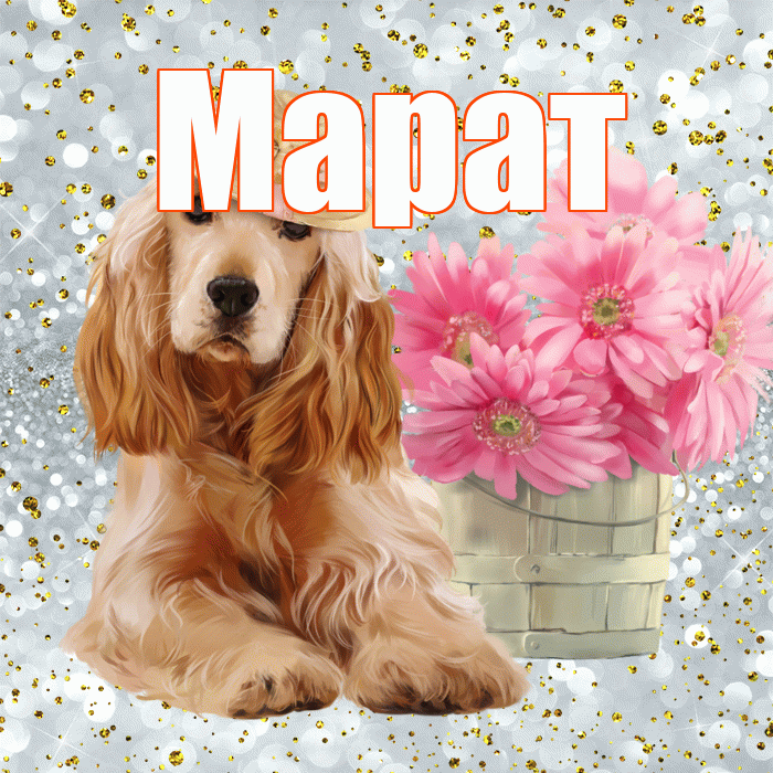Марат! С добрым утром! Красивая открытка Марату!