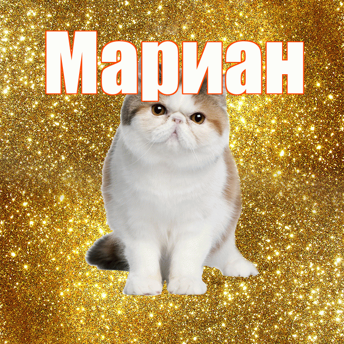 Мариан! С добрым утром! Красивая открытка Мариане!