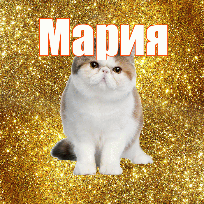 Мария! С добрым утром! Красивая открытка Марии!