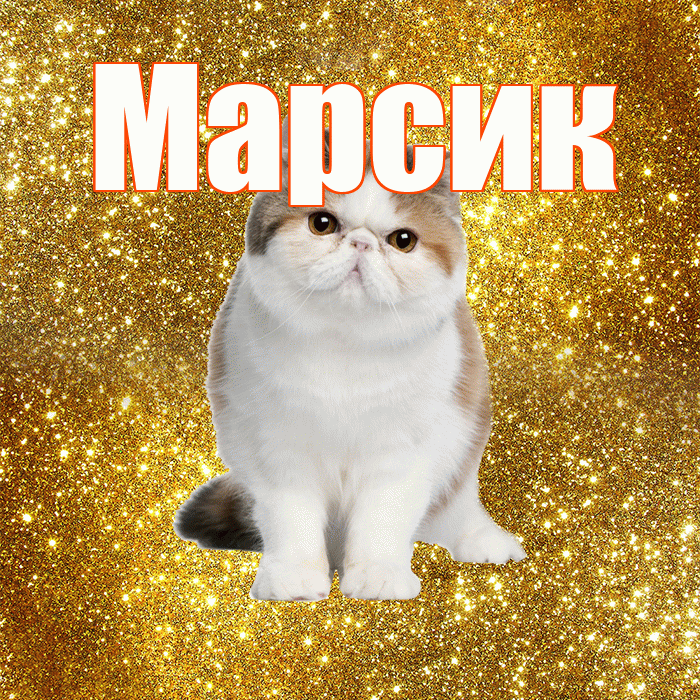 Марсик! С добрым утром! Красивая открытка !