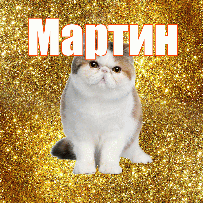 Мартин! С добрым утром! Красивая открытка Мартину!