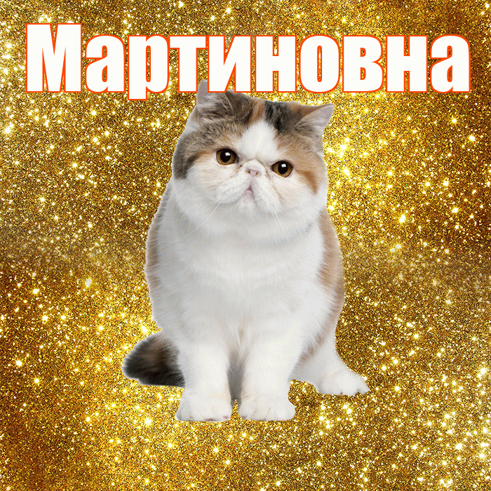 Мартиновна! С добрым утром! Красивая открытка Мартиновне!