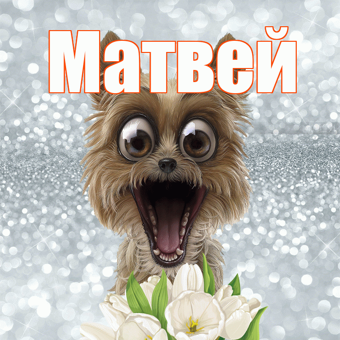 Матвей! С добрым утром! Красивая открытка Матвею!
