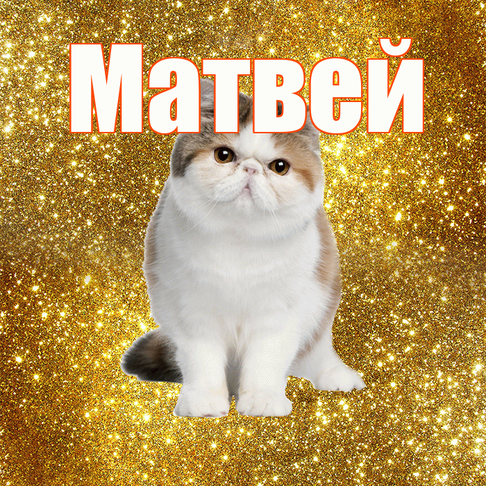 Матвей! С добрым утром! Красивая открытка Матвею!