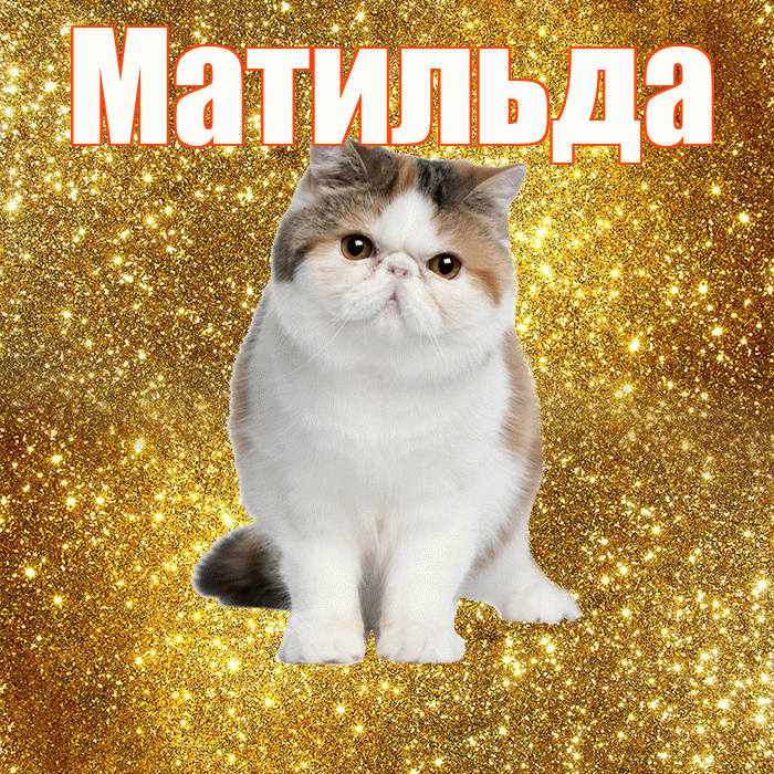 Матильда! С добрым утром! Красивая открытка Матильде!