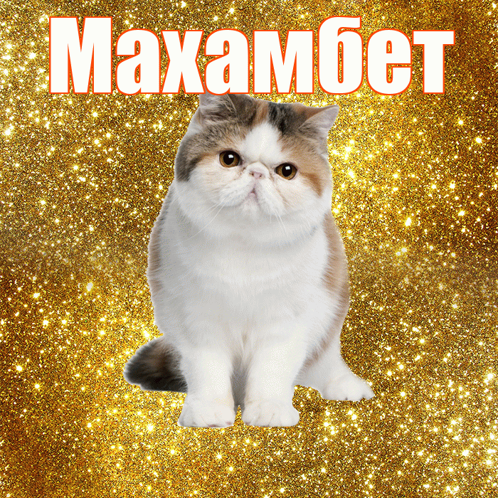 Махамбет! С добрым утром! Красивая открытка Махамбету!