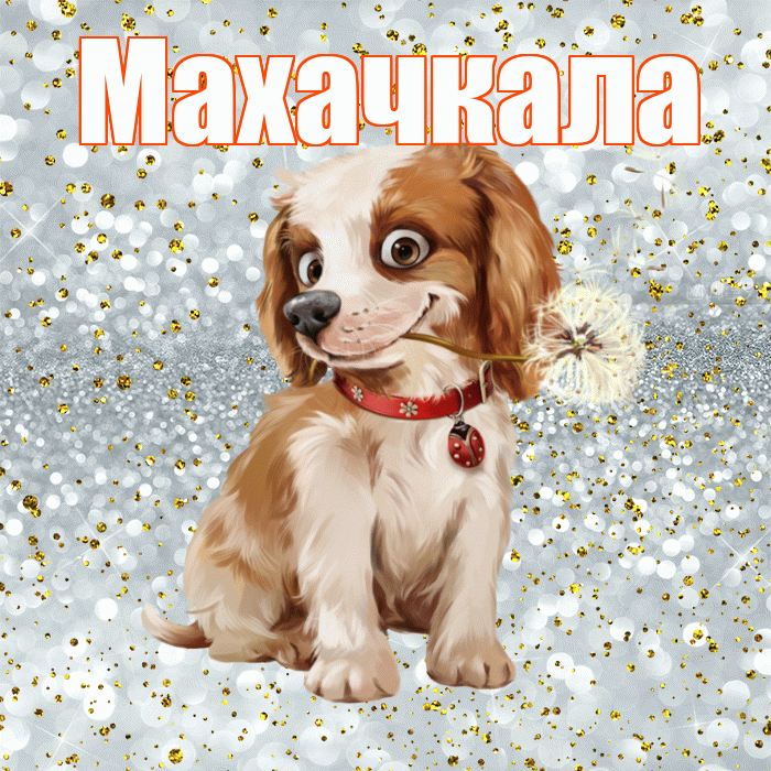 Махачкала! С добрым утром! Красивая открытка Махачкале!