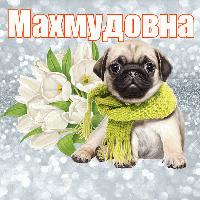 Махмудовна! С добрым утром! Красивая открытка Махмудовне!
