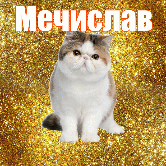Мечислав! С добрым утром! Красивая открытка Мечиславу!