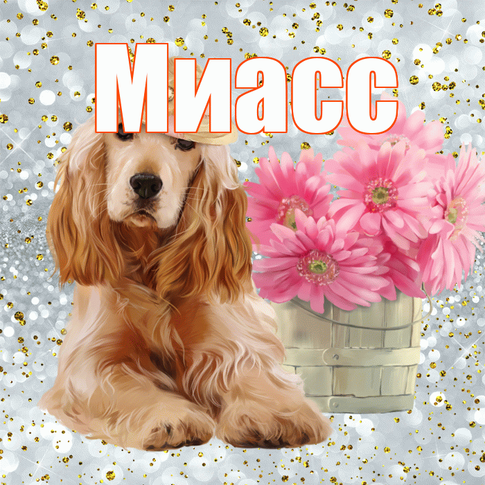Миасс! С добрым утром! Красивая открытка Миассу!