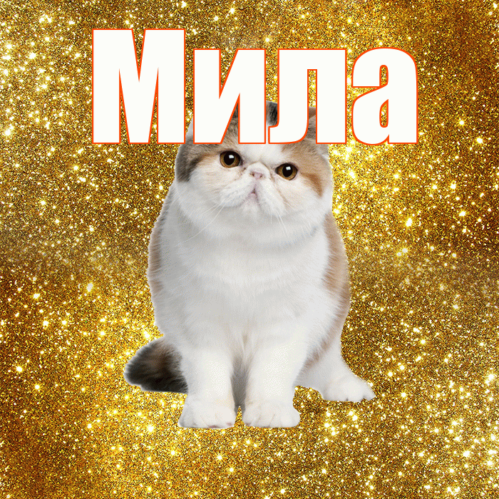 Мила! С добрым утром! Красивая открытка Миле!
