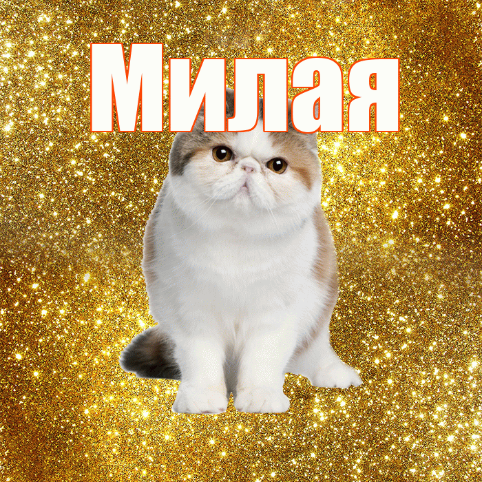 Милая! С добрым утром! Красивая открытка Милой!