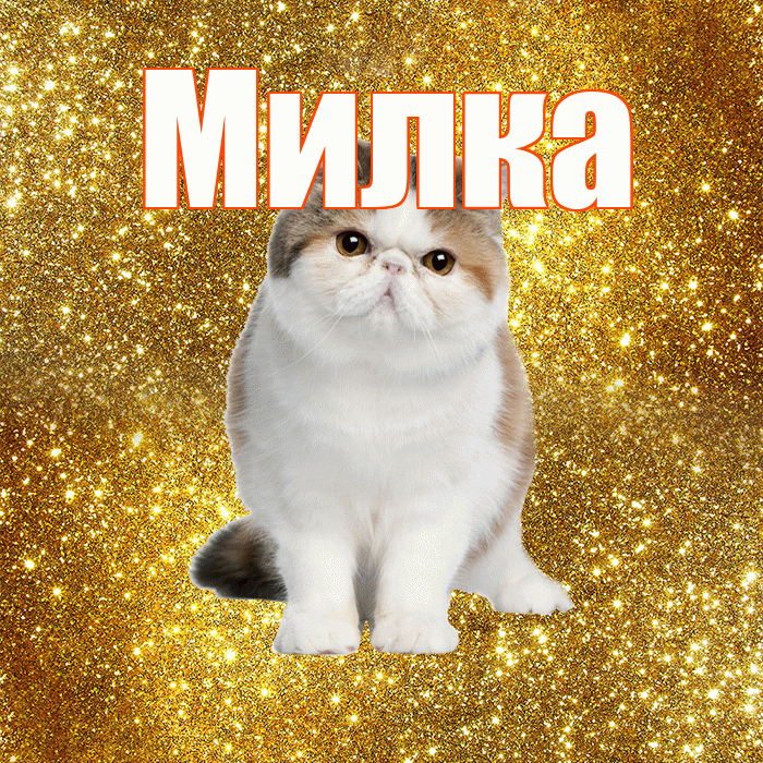 Милка! С добрым утром! Красивая открытка !