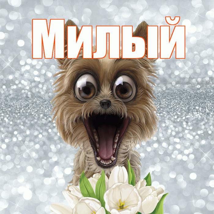 Милый! С добрым утром! Красивая открытка Милому!
