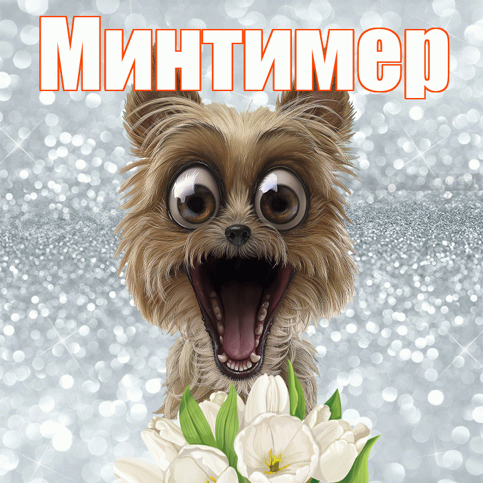 Минтимер! С добрым утром! Красивая открытка Минтимеру!