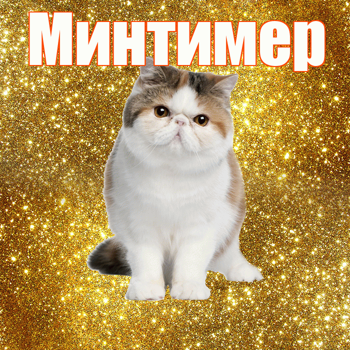 Минтимер! С добрым утром! Красивая открытка Минтимеру!