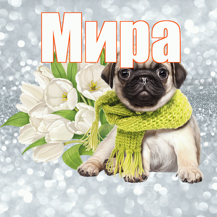 Мира! С добрым утром! Красивая открытка Миру!