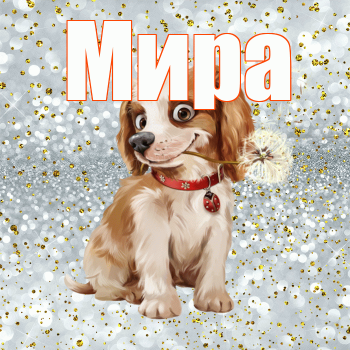 Мира! С добрым утром! Красивая открытка Миру!