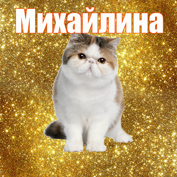 Михайлина! С добрым утром! Красивая открытка Михайлине!